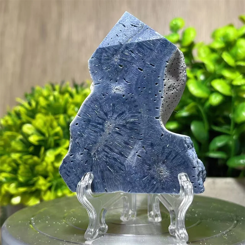 Cristal naturel Héliopore Bleu Corail, pointe de tour en forme de baguette, pierre de forme libre, décoration d'intérieur, spécimen de quartz, pierre précieuse minérale énergétique + support