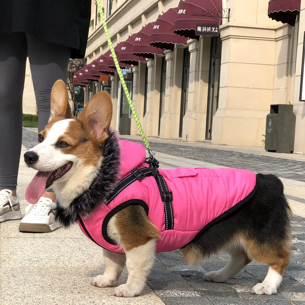 Dogs and Cats Coat Jacket Pet Vest Harness Collars Design Puppy Warm Hoodies Clothes 5 size 3 colors