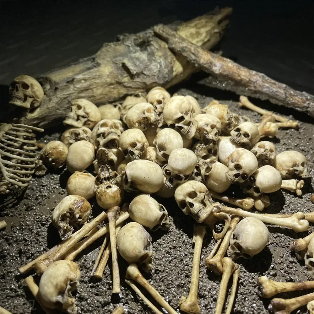 نموذج جمجمة هيكل عظمي مصغر ، دمية الهالويون ، ديكور حوض السمك ، ديكور المنزل ، نبات ، جودة عالية ، #5