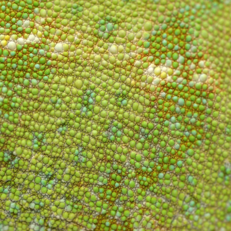 

Коробка передач WPL для WPL B1 B24 B16 B36 C24 1/16 4WD 6WD Обновление радиоуправляемых автомобилей Коробка передач Коробка передач