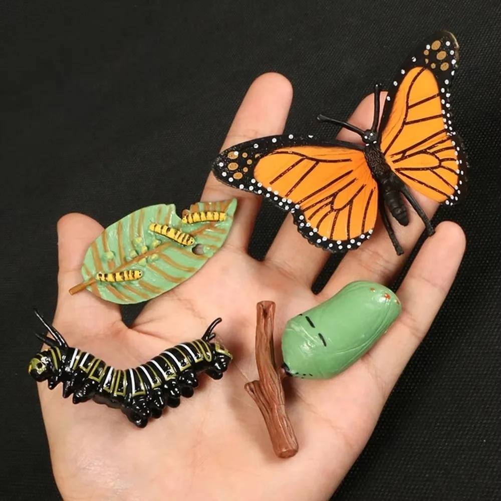 4 Pcs/Set Montessori Teaching Aids Life Cycle Figurines Educational Miniature Miniature Size Simulation Animal Models