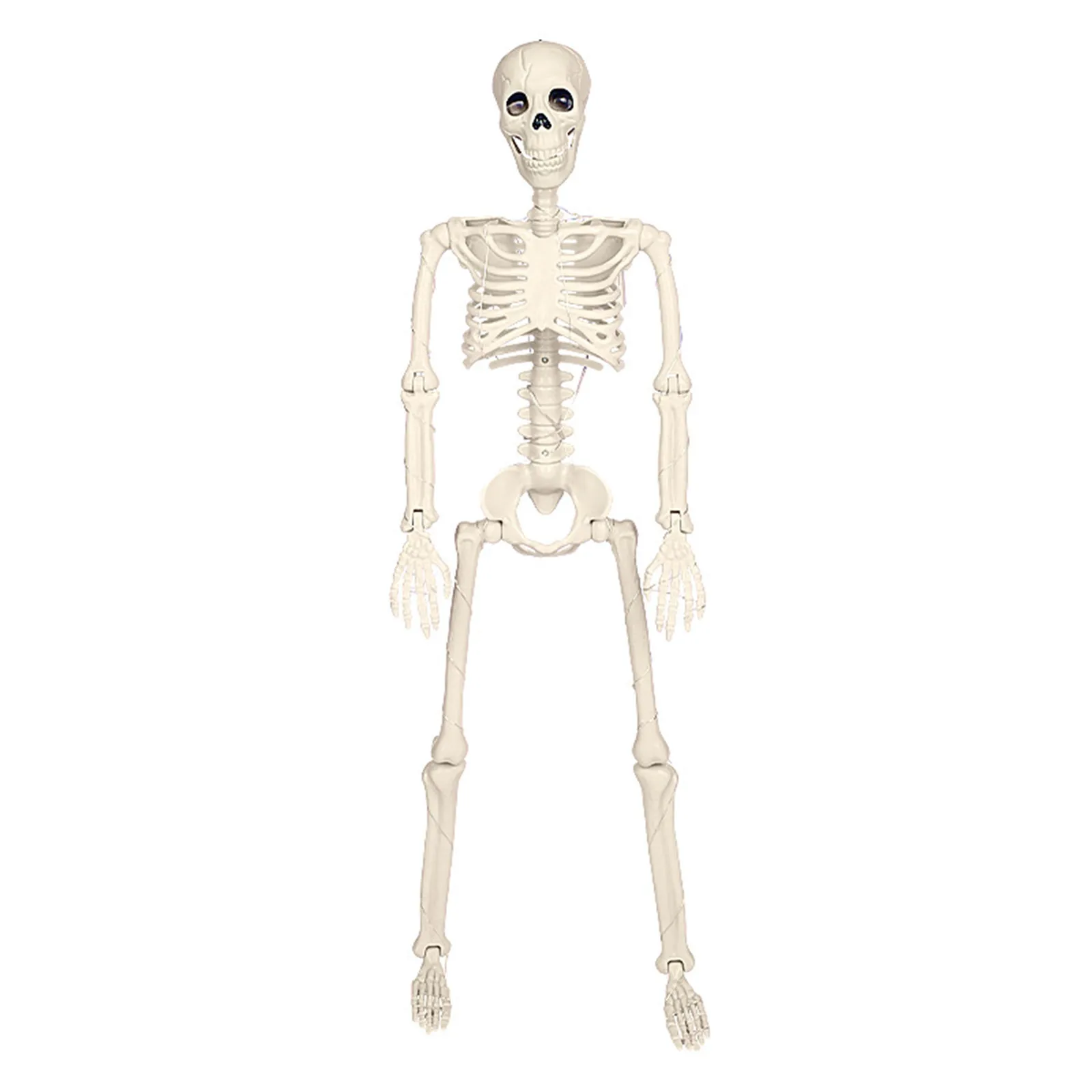 

Halloween Skeleton Lighting Kit Giant Skeleton Led Lighting Poseable Skeleton Lighting Outdoor Life Size Skeleton Lighting Decor
