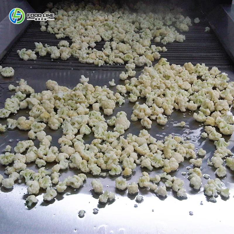 Trusted Equipment French Fries Iqf Tunnel Freezer Iqf Tunnel Freezer for French Fries Customized