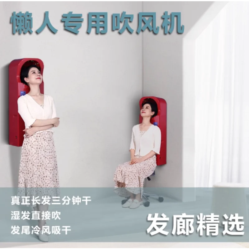 

Automatic Wall-Mounted Fixed Anion for Home Use Dry Hair Fast