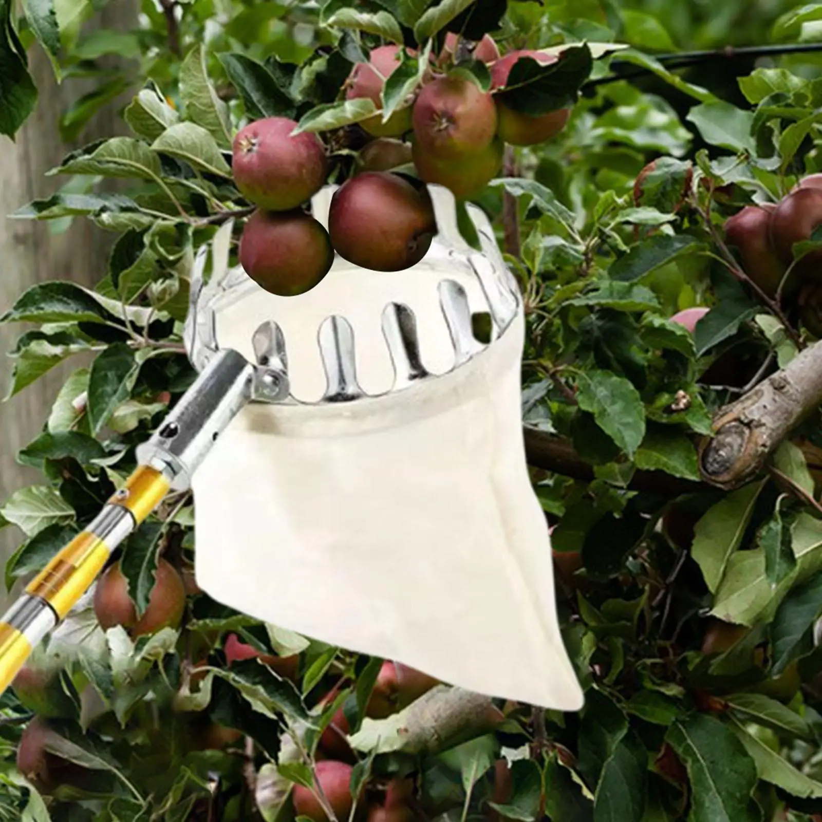 

Fruit Picking Head Basket Orchard Picking Tool for Apple Citrus Pear Peach