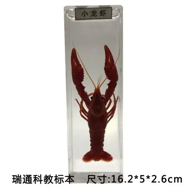 22 mini K9 Crystal 3D laser internal carved jellyfish decorative ship for northern cubs and paper home office desk decoration