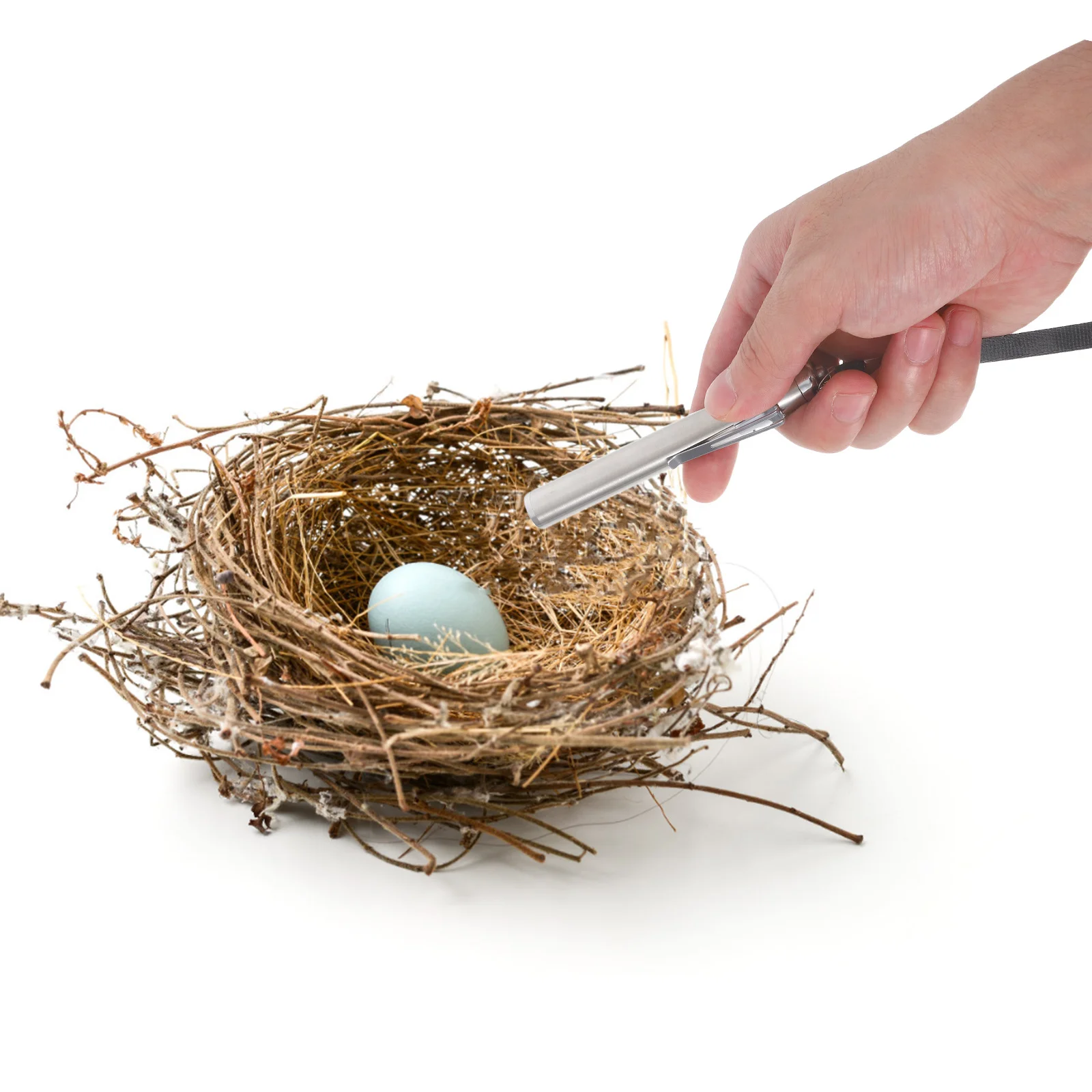 

Incubation Flashlight Cold Light Egg Candler Poultry Incubation Equipment Professional Egg Testing Lamp for Chicken Goose Quail