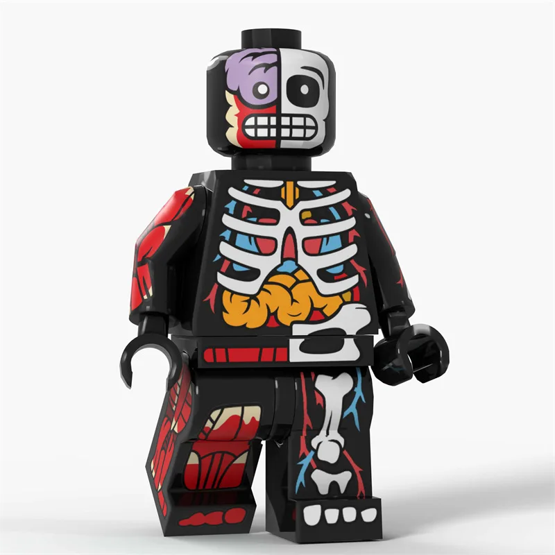 Cartoon Transparente Menschliche Anime-Muskel-Anatomie Skelett-Körper Actionfiguren Bausteine Spielzeug für Kinder Geschenke