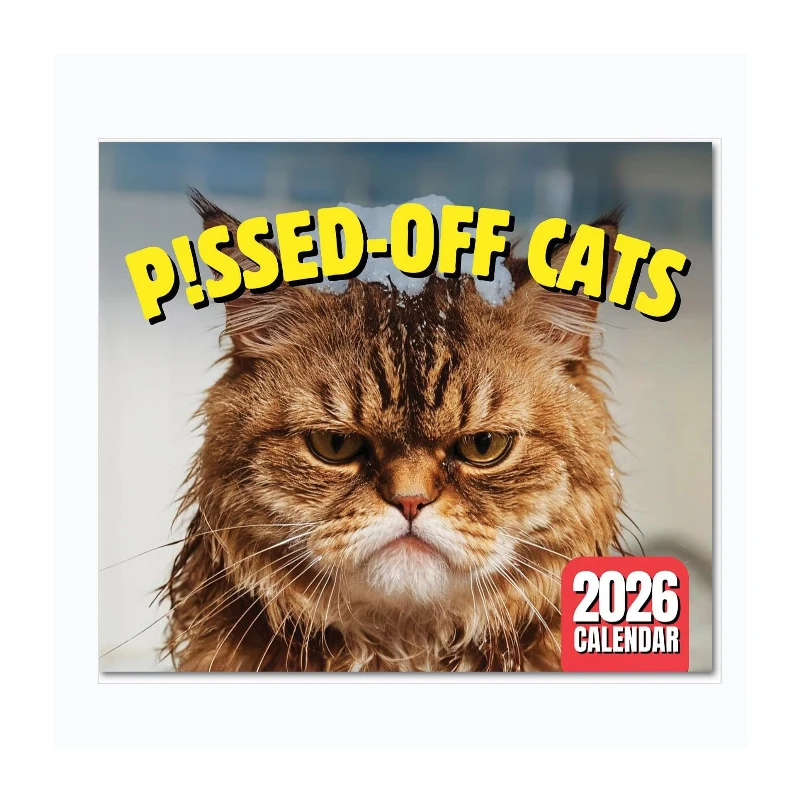 2026 Calendar Square Daily Weekly Monthly Planner Pissed-off Cats Calendar Cartoon Animal Wall Calendar Home Decoration