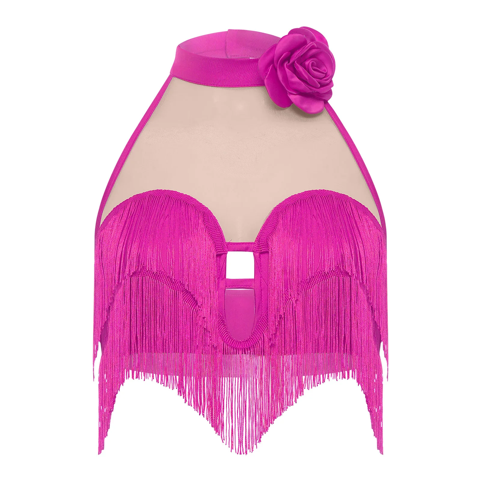 

Women Latin Dance Crop Top Halter with 3D Flower Applique Sheer Mesh Patchwork Tiered Tassel Sleeveless Top for Tango Salsa Prom