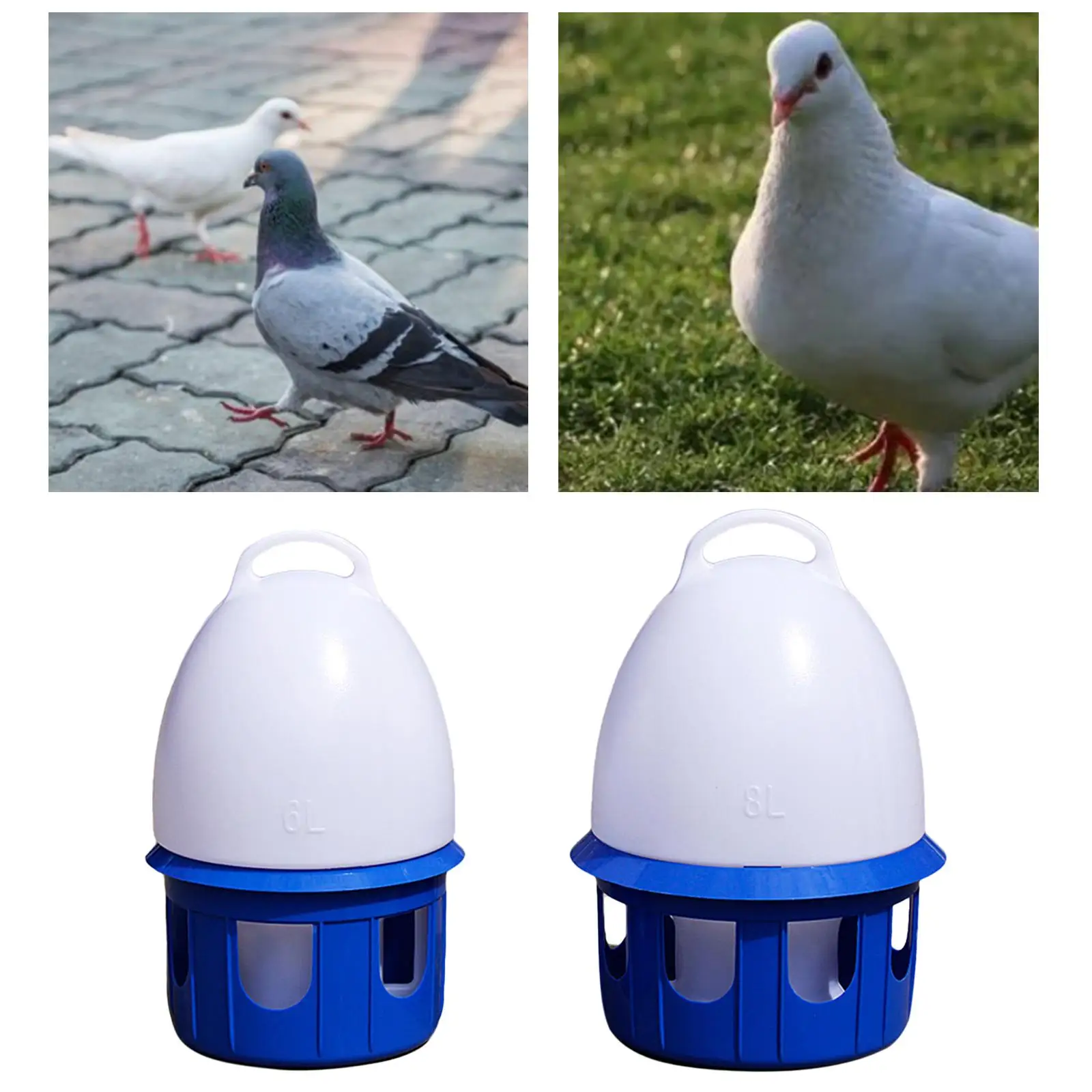 Pigeon Waterer Drinker Water Bottle Feeder Watering Water Feeding Automatic Bird Water Dispenser for Dove Parrot Parakeet Duck