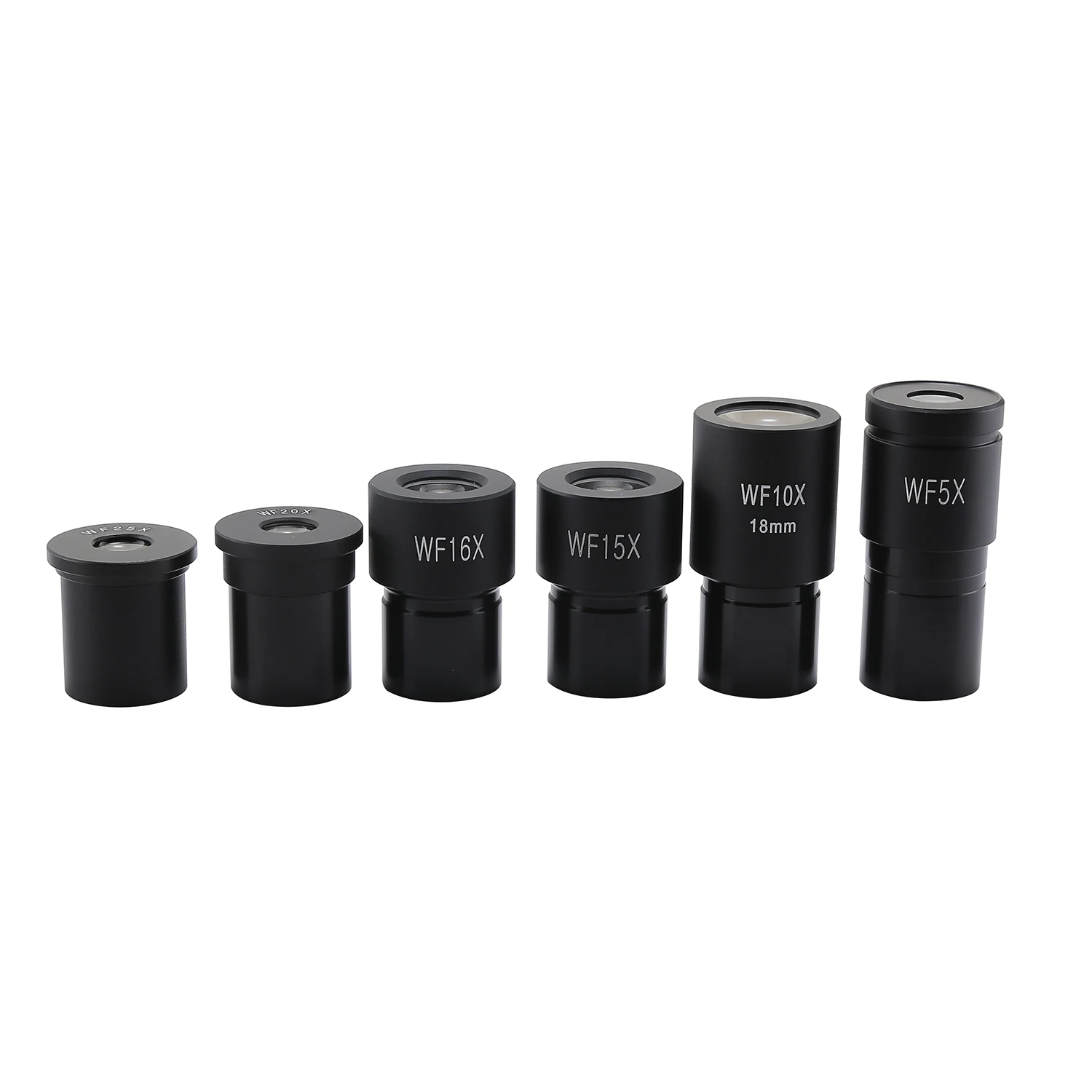 Eyepiece Options for Biological Microscopes Compatible with 23 2mm Tubes Includes Magnifications from WF5 to W25