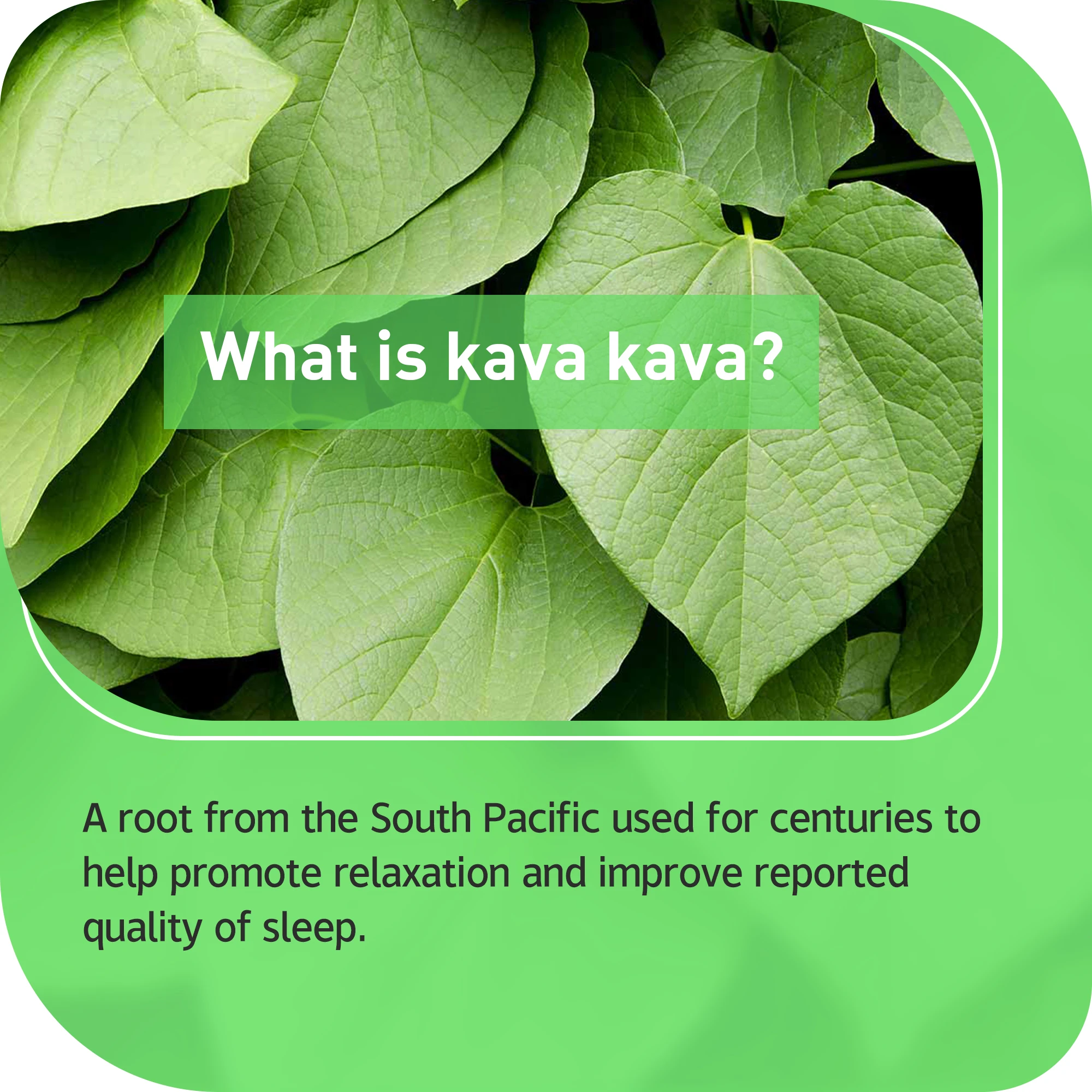 Kava Kava-Relief ความเครียด, โฟกัสและการนอนหลับ, อารมณ์และการผ่อนคลาย