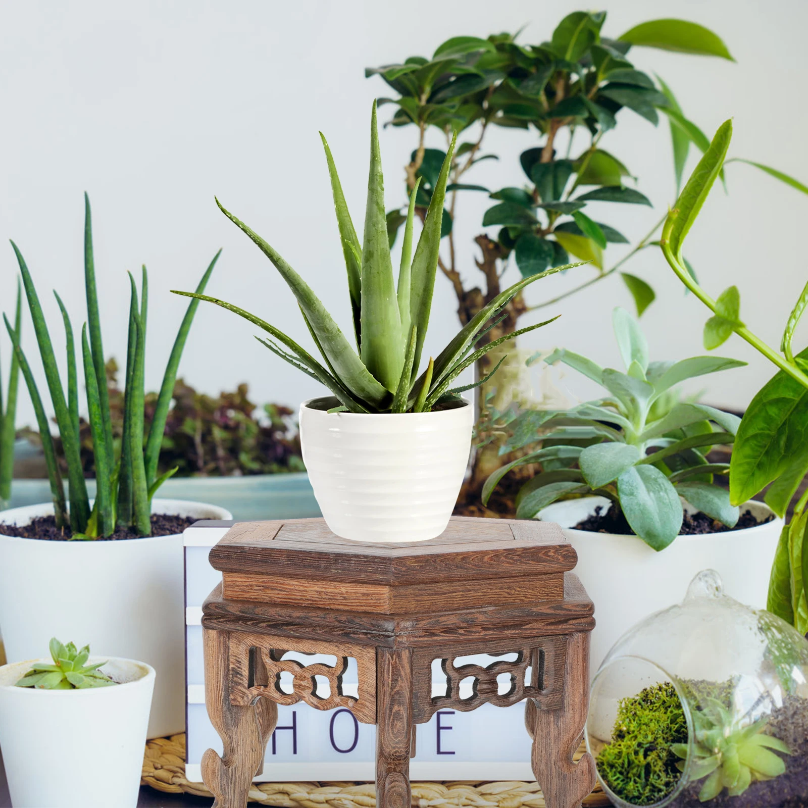 

Chicken Wing Wood Hexagonal Table Display Stand Small Size Vase Tea Pot Base Planter Risers Wood Flower Pot BaseCrafts Display