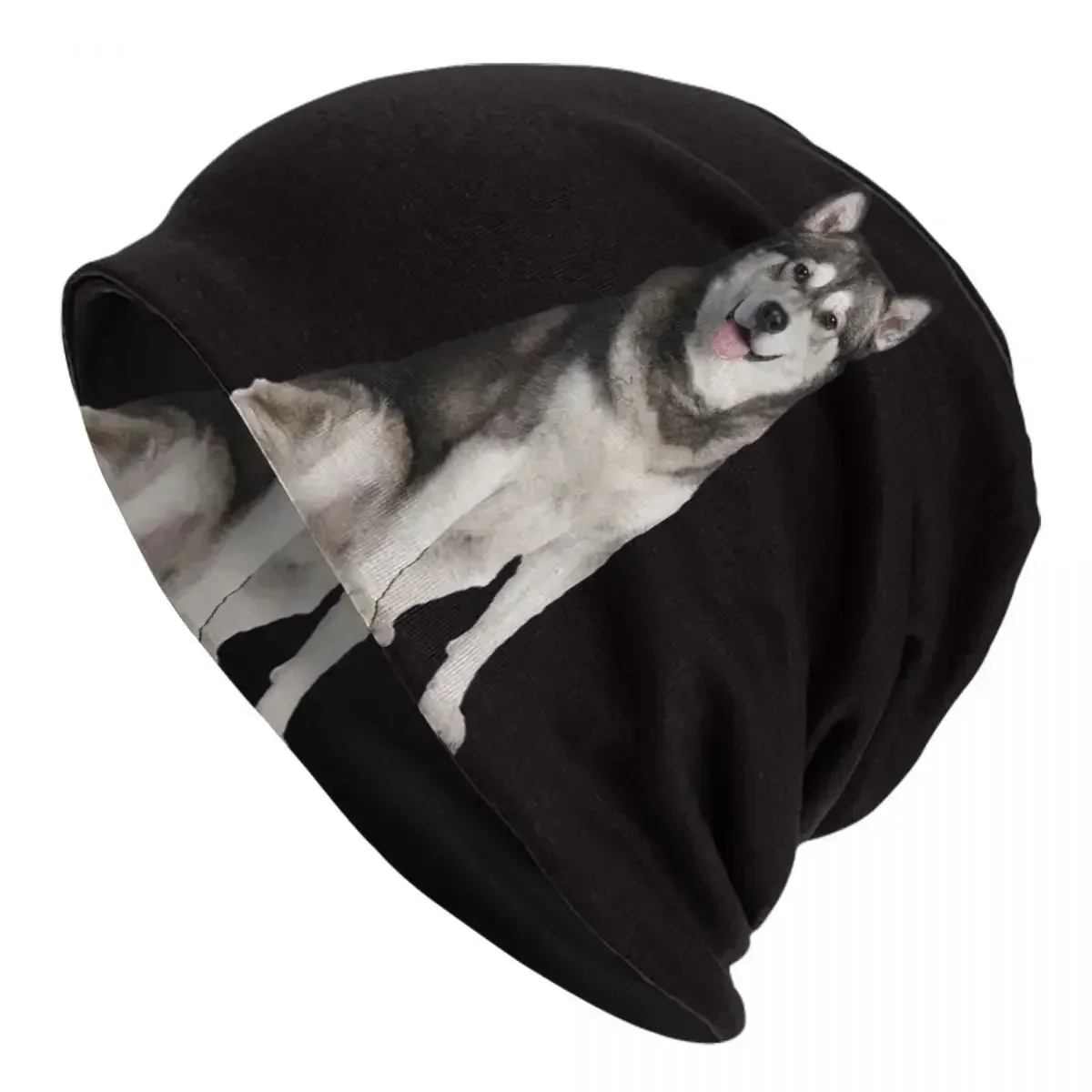 

Alaskan Malamute Dog Skullies шапки для мужчин и женщин унисекс модная зимняя теплая вязаная шапка для взрослых сибирский хаски капот шапки