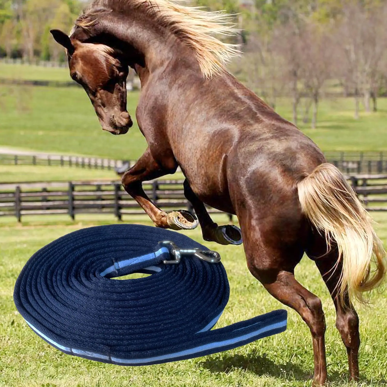 Laisse d'Entraînement pour Chien avec Sangle à Pression, Longue Ligne, Corde de Plomb pour Cheval, Petits, Moyens et Grands Chiens, Entraînement au Rappel de l'Obédience