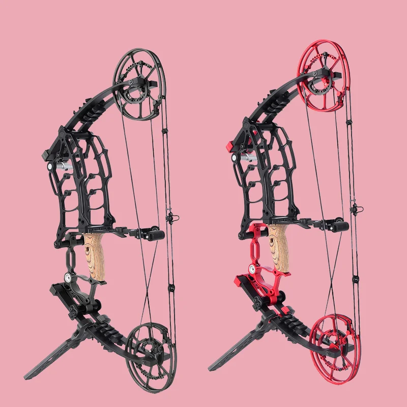 

Competitive Dual Purpose Compound Bow Hunting Equipment 40-65 Lbs Shooting Arrow and Steal Ball Accessories