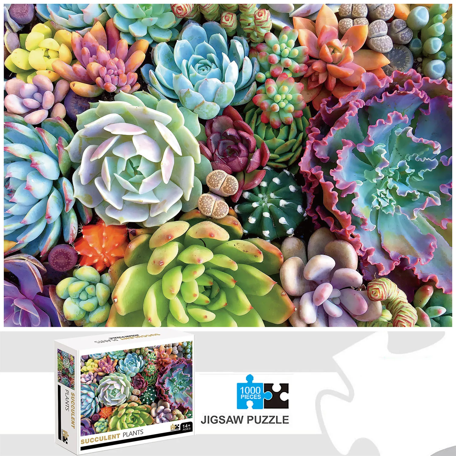 1000 Pieces Succulent Plants Jigsaw Puzzle Home Decor Adults Puzzle Games Family Fun Floor Puzzles Educational Toys for Kids