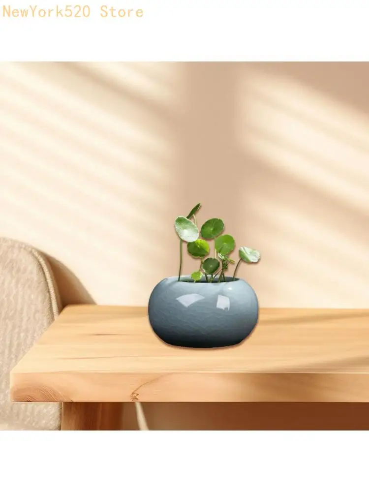 Elegant Decorative Crackled Ceramic Vase Planter Container With 300ml Capacity For Hydroponics And Simple Home Arrangement N84C