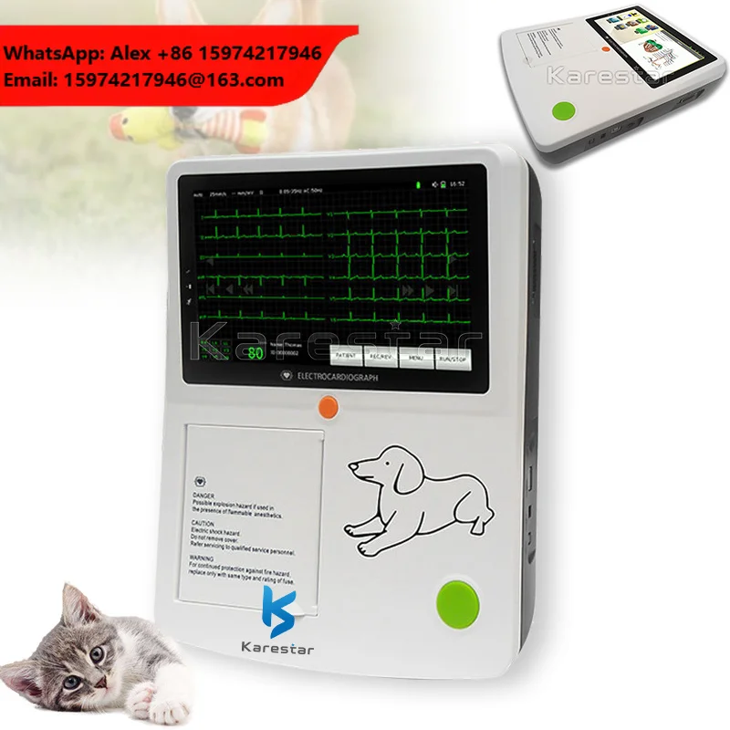 Digital 3 Channel ECG EKG Touch Screen ECG Machine 12 Leads Veterinary Portable Ecg Monitor
