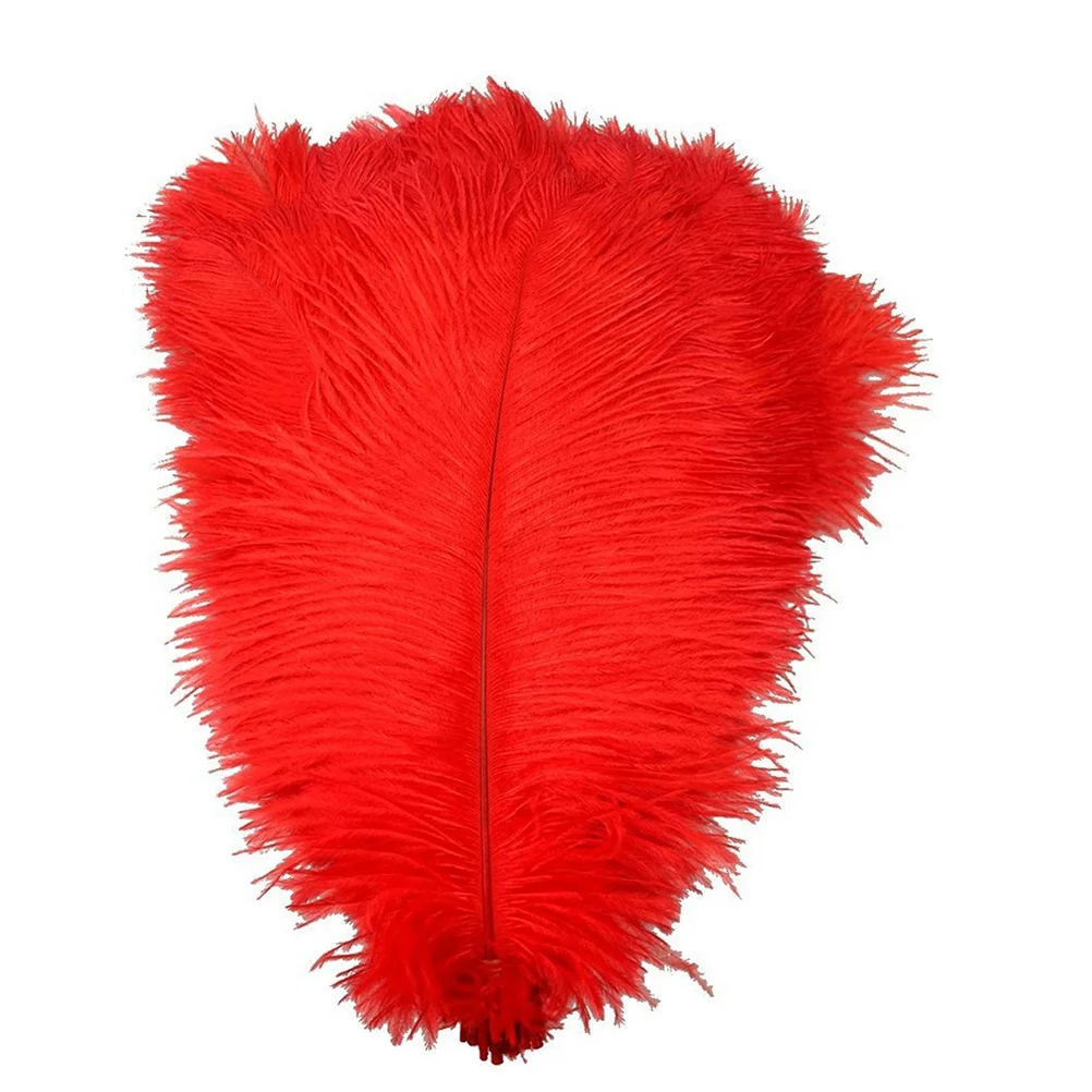 

10 Pcs Mask Ostrich Hair Cosplay Trim Red Decoration Artificial Feahers Natural