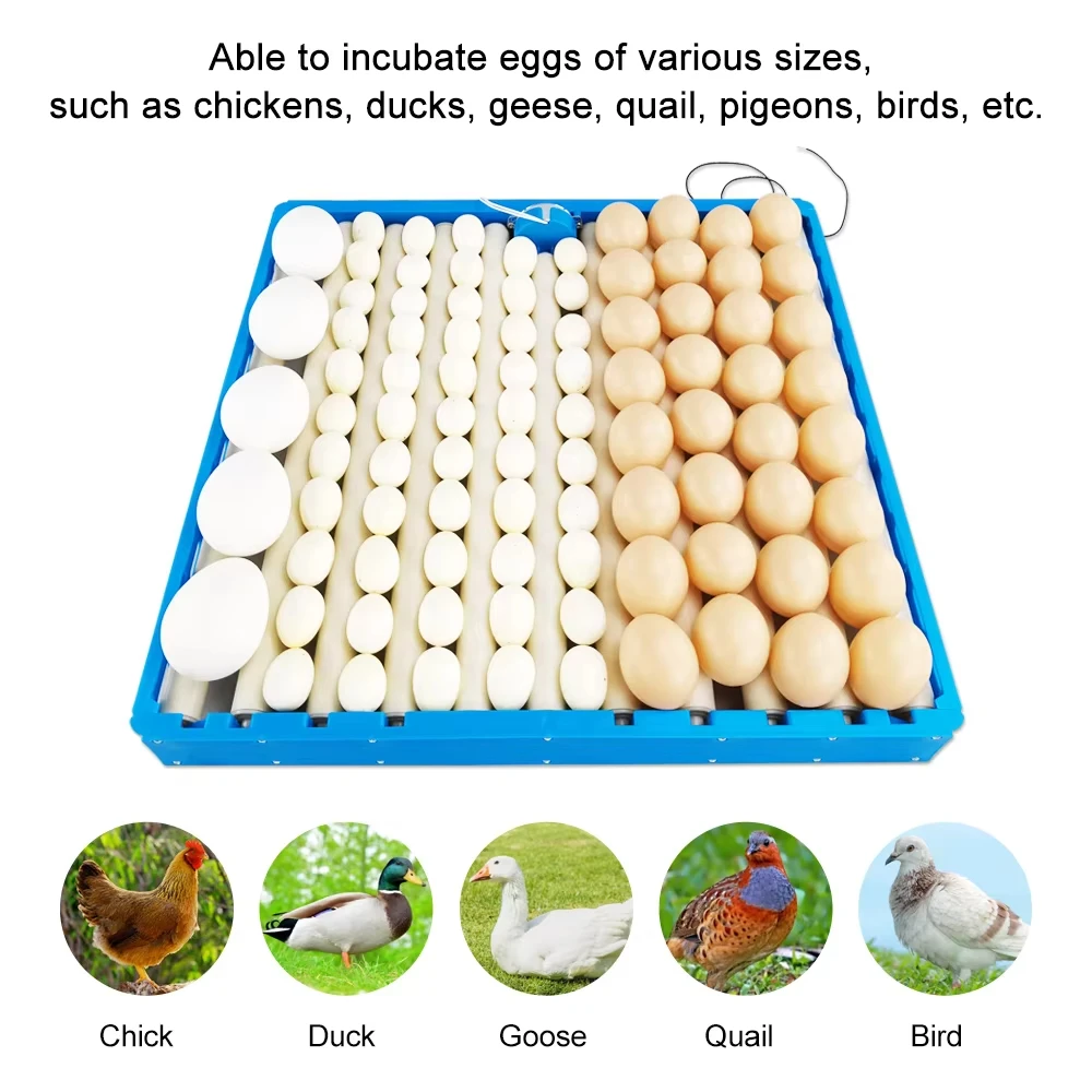 

360° Rotary Egg Turner Automatic Roller Tray 70-108 Eggs Poultry Hatching Incubator Tool For Duck Quail Bird Chicken 110V 220V