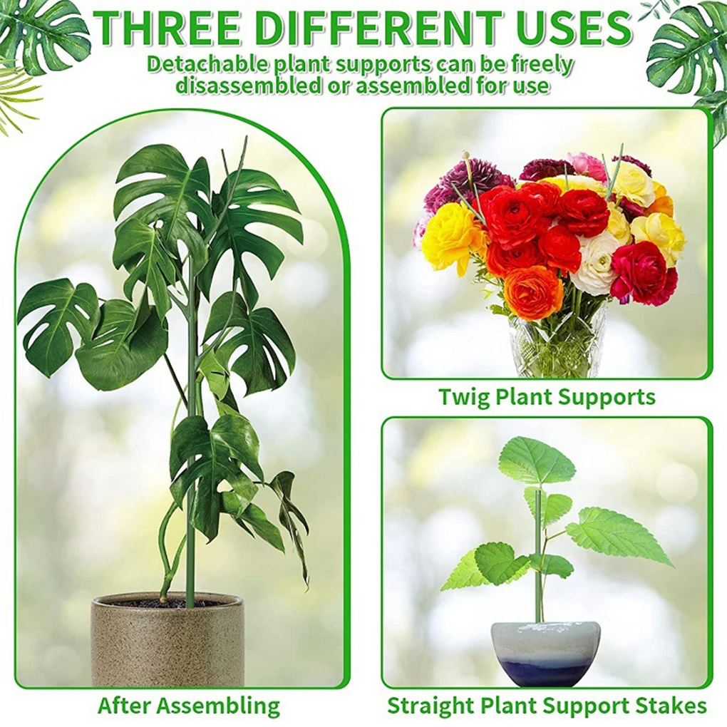 Green Effective Plant Protection For Monstera Plants Moss Pole Monstera Plant Support Helps Growth