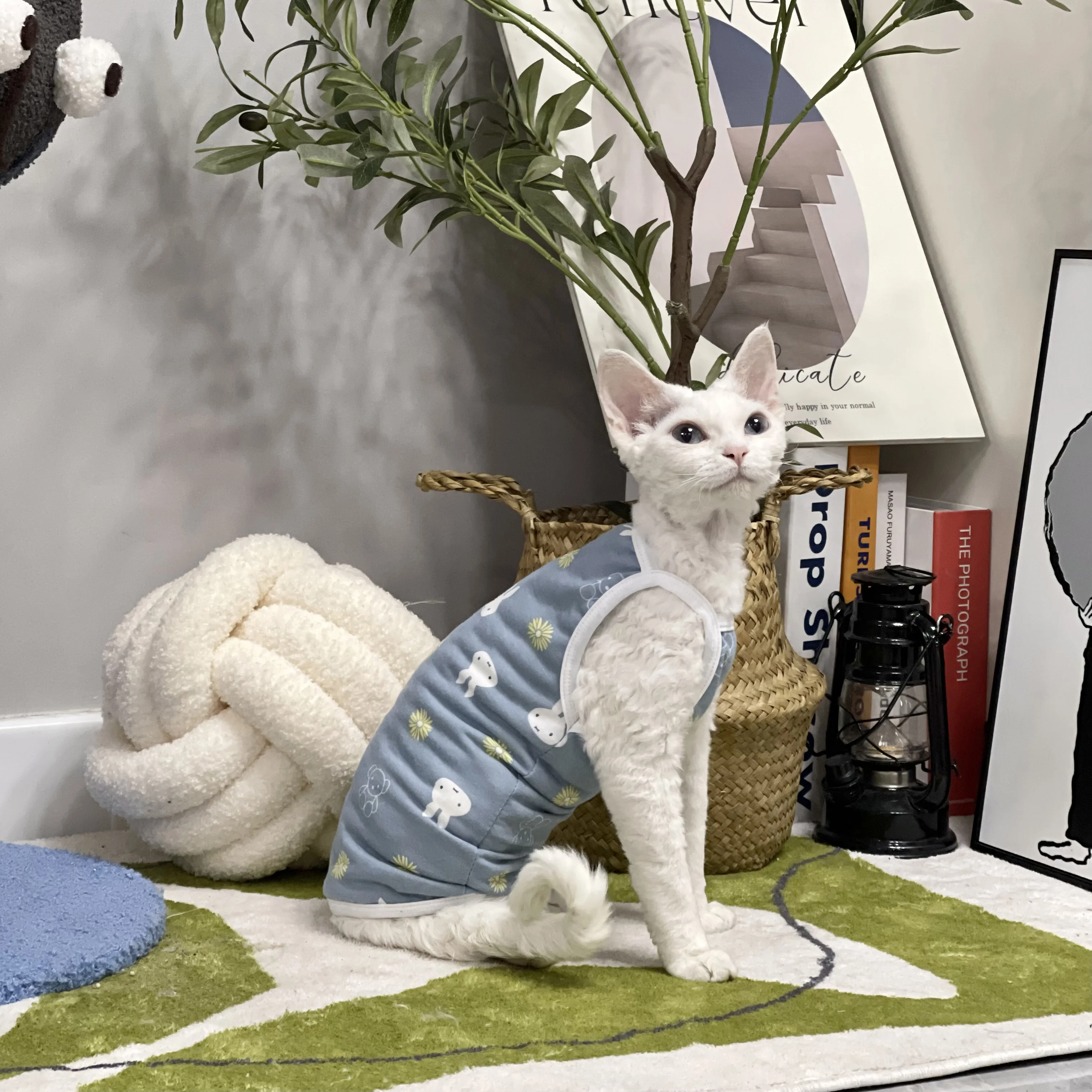 T-Shirt en Coton Bleu Doux à Manches Courtes pour Chat Sphynx, Manteau de Dessin Animé Lapin Mignon pour Devon Rex au Printemps