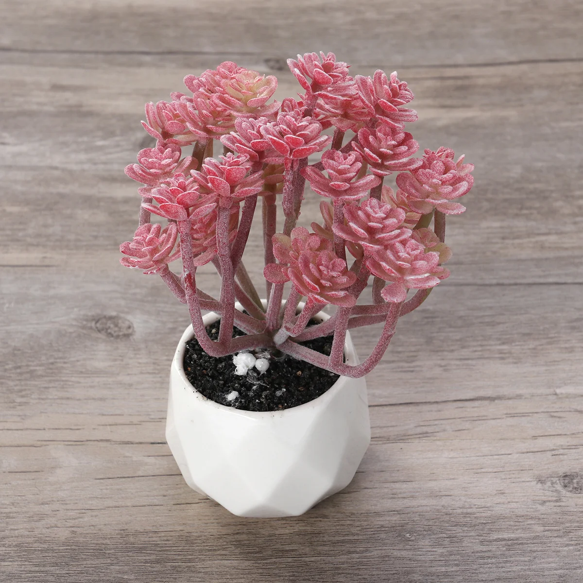 

Red Flocked Artificial Succulent Plants Realistic Fake Greenery for Indoor Outdoor Decor Shelf Table Top Display Simulate