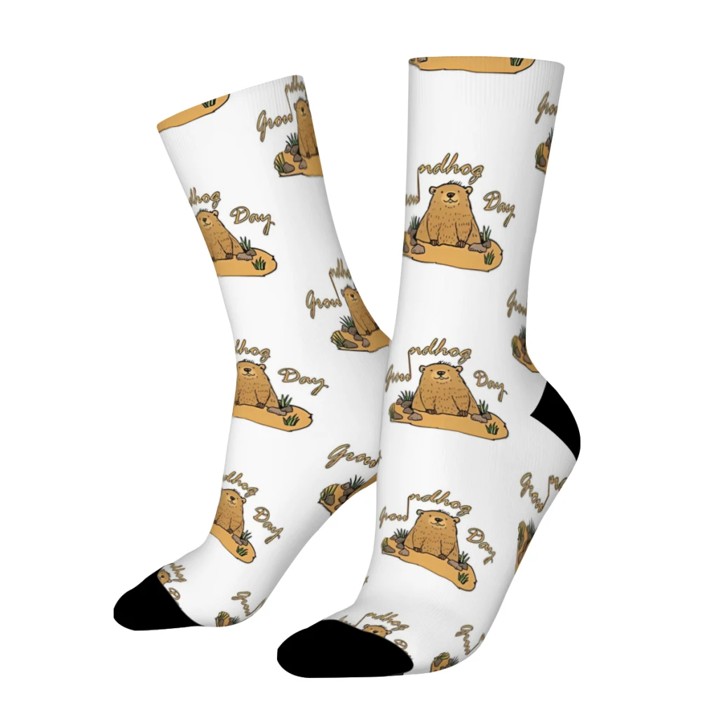 Chaussettes vintage de jour de marmotte pour hommes, chaussettes d'équipage sans couture, motif imprimé, animal de marmotte, cool, heureux, Harajuku, cadeau