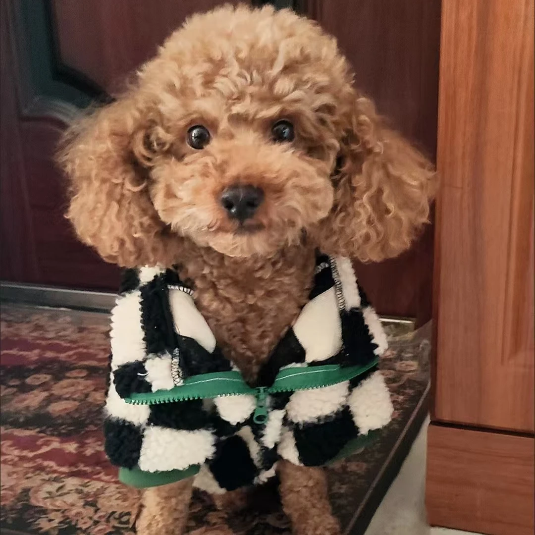 ins dog Checkerboard Coat Jacket FleeDog clothes Velvet Dog Costume for Small Dogs Winter Warm Puppy Cat Jacket Chihuahua