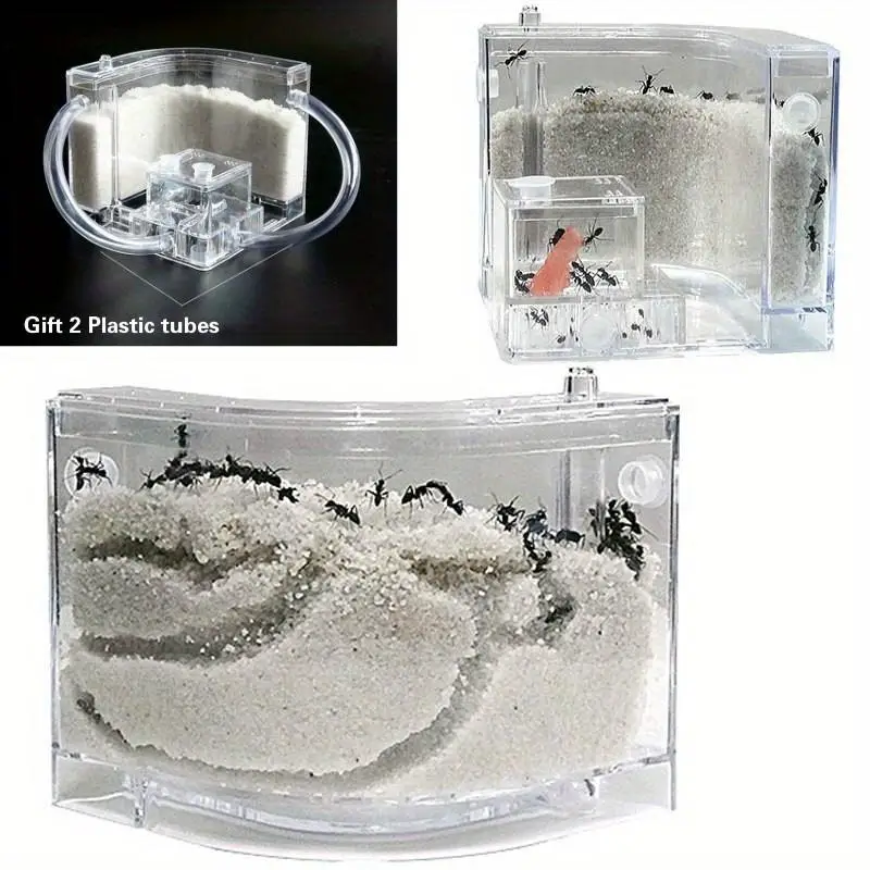 Fourmilière en acrylique pour fourmis domestiques avec zone d'alimentation – Kit d'expérimentation biologique et jouet d'exploration
