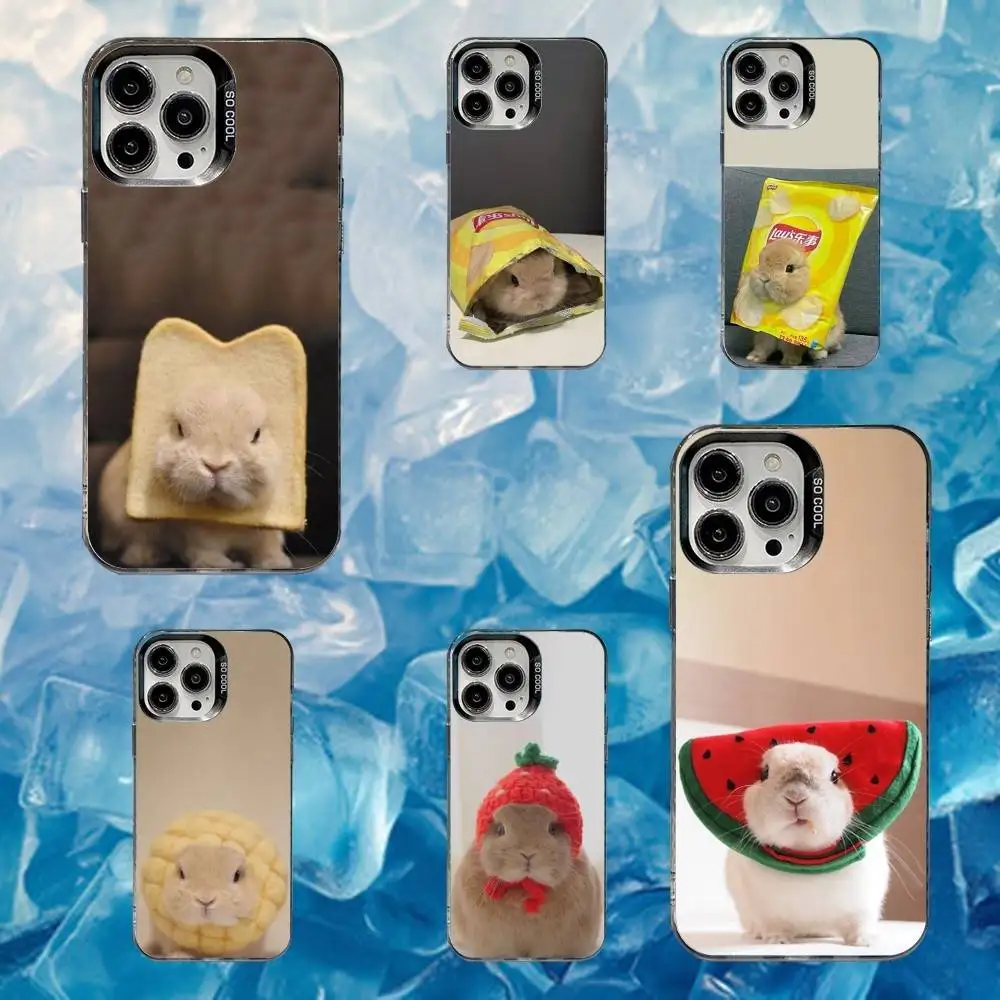 

Cute Bunny rabbit COS Phone Case For iPhone 16,15,14,13,12,11,Mini,Pro,SE,MAX White Matte Shockproof Cover