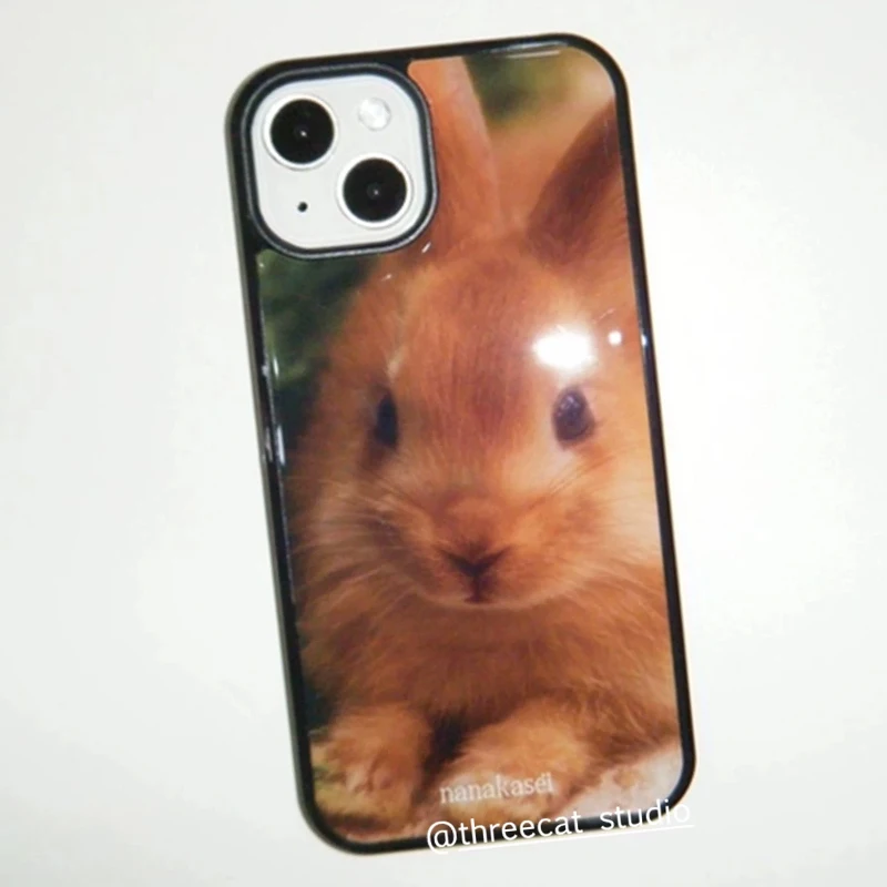 Korean Ins Vintage Caramel Bunny Cute Cartoon Phone Case For iPhone 18 17 16 15 14 13 12 11 Pro Max Plus 17air Drip Glue Cover view 5
