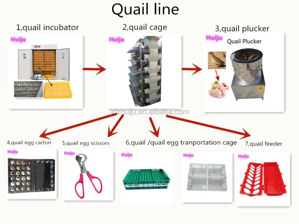 CE approved environmental 600 quail cage and water system making factory of metal wire bird cage HJ-QCX600