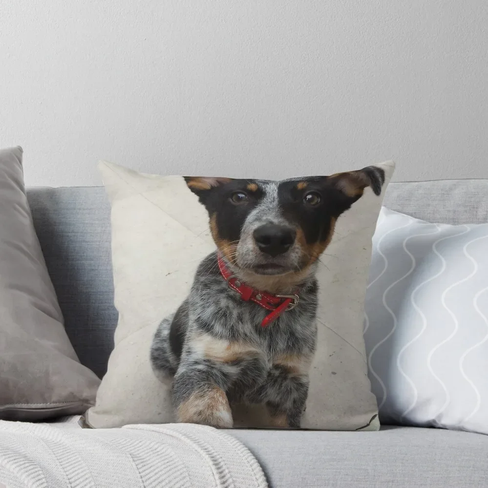 Porter -Blue Heeler Puppy- Throw Pillow Plaid Sofa Sofa Cushions