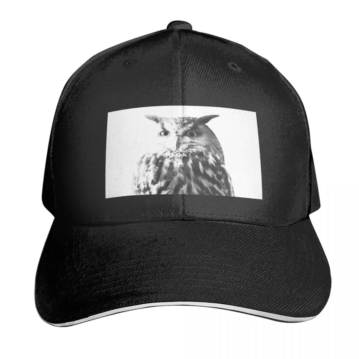 Uil Op Wit 1 Dier Decor Kunst Baseballpet Nieuwe Papa Hoed Zomer Vrijetijdstrucker Pet Unisex Snapback Hoeden Gorras