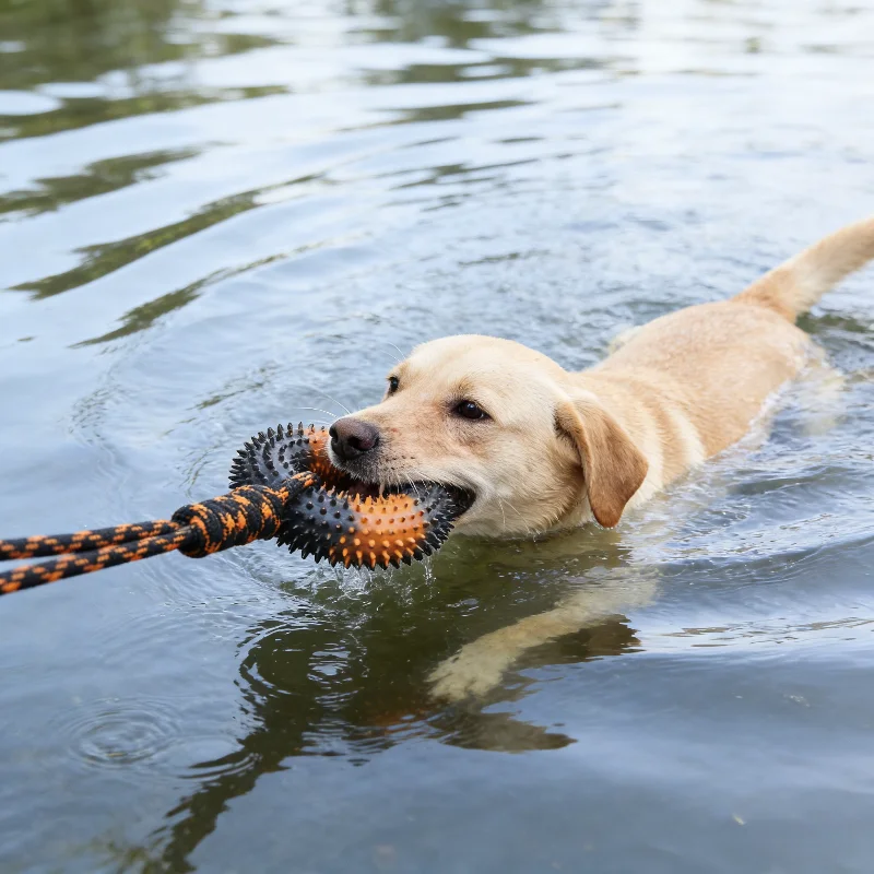 Thumbnail 3 - #43 Compare Dog Tug Toys Before You Buy