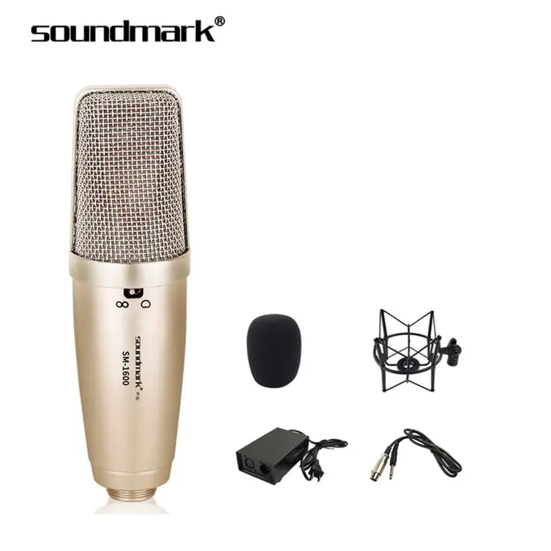 

Best Wired Microphone Remote Condenser Professional Recording Microphone