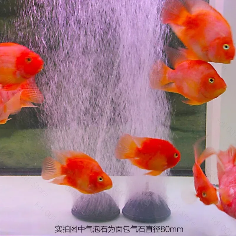 Fish Tank Aquarium Ac / Dc Oxygen Pump Air     Oxygenation