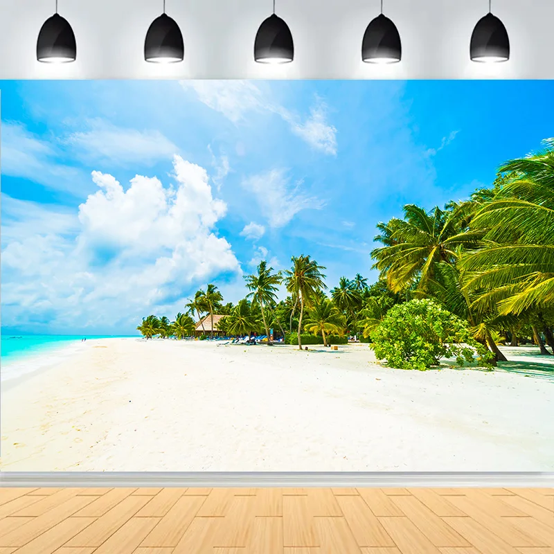 Кокосовая пальма, остров, пейзаж, песчаный пляж, фон для фотосъемки, тропическое море, голубое небо, облако, фон для фотостудии SD-06