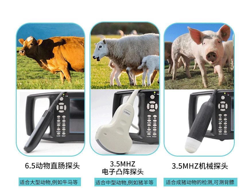 Highest Cost-effective Handheld Portable 3 in 1 Wifi & USB Wireless Ultrasound Probe