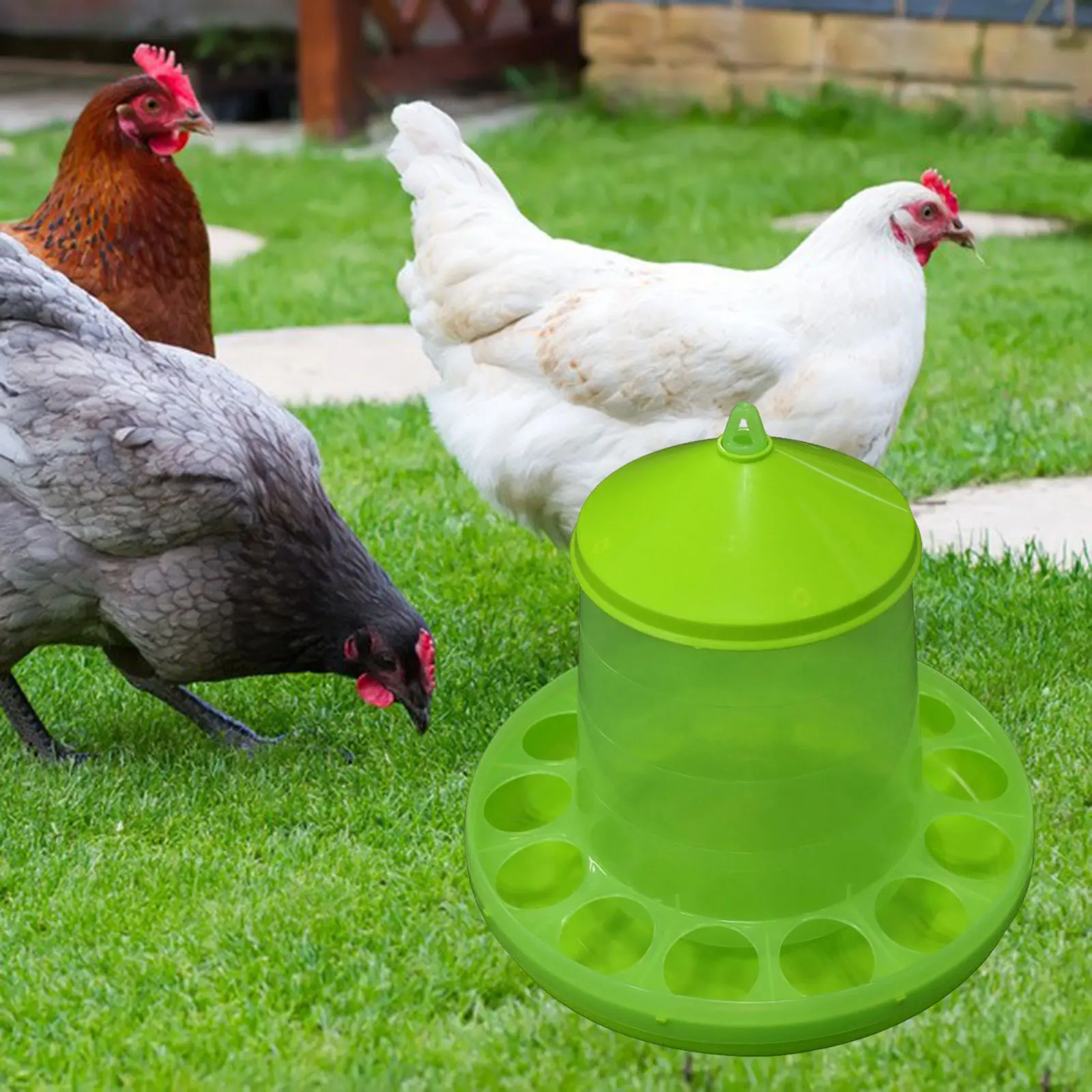 1Pc Chicken Waterer Automatic Chicken Feeder Chick Drinker Bucket Farm Animal Poultry Feeding Tools for Bird Quail Chick Pigeon