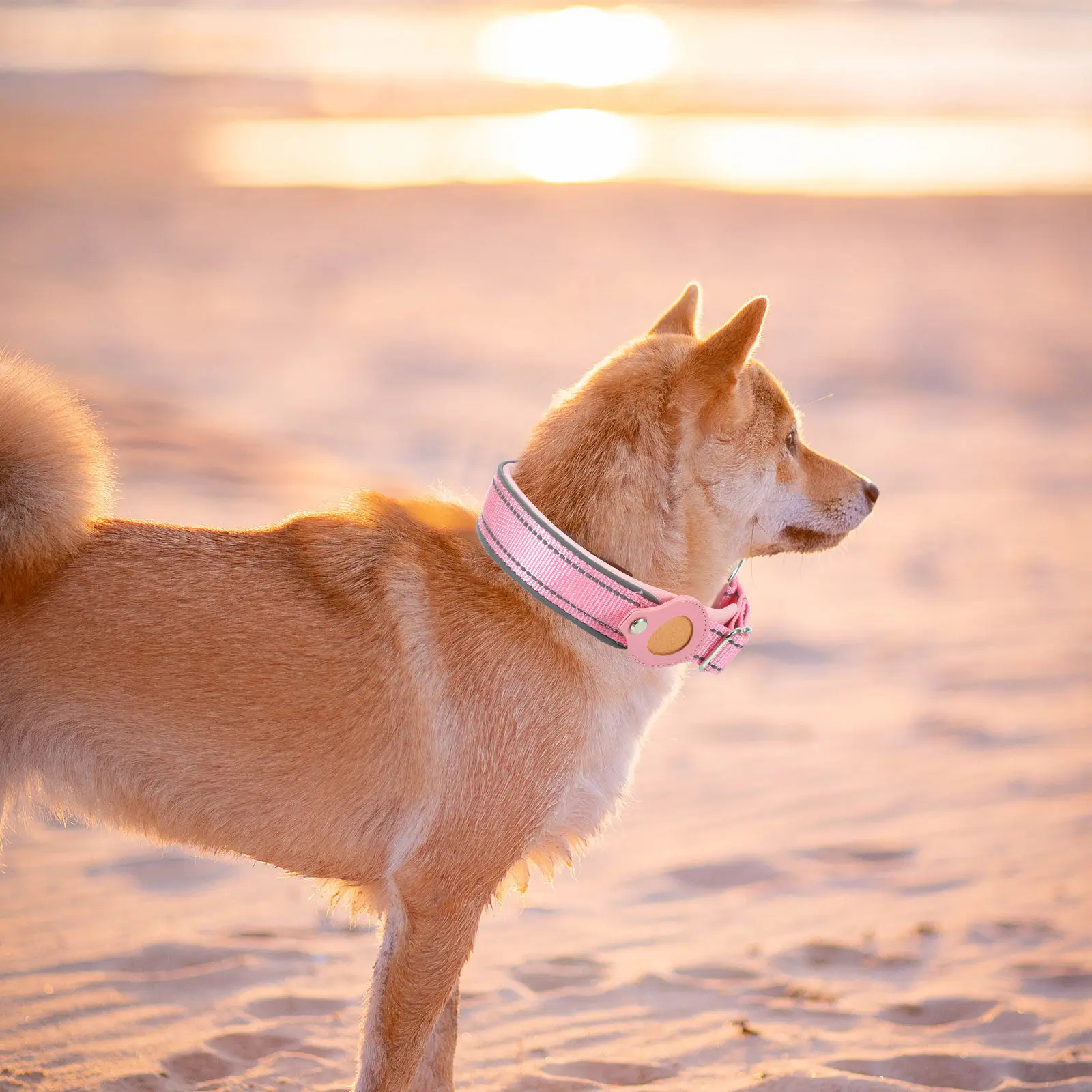 

1Pcs Pet Collar Protective Case Heavy Duty Scratch Resistant Secure Fit Dog Holder for Outdoor Use