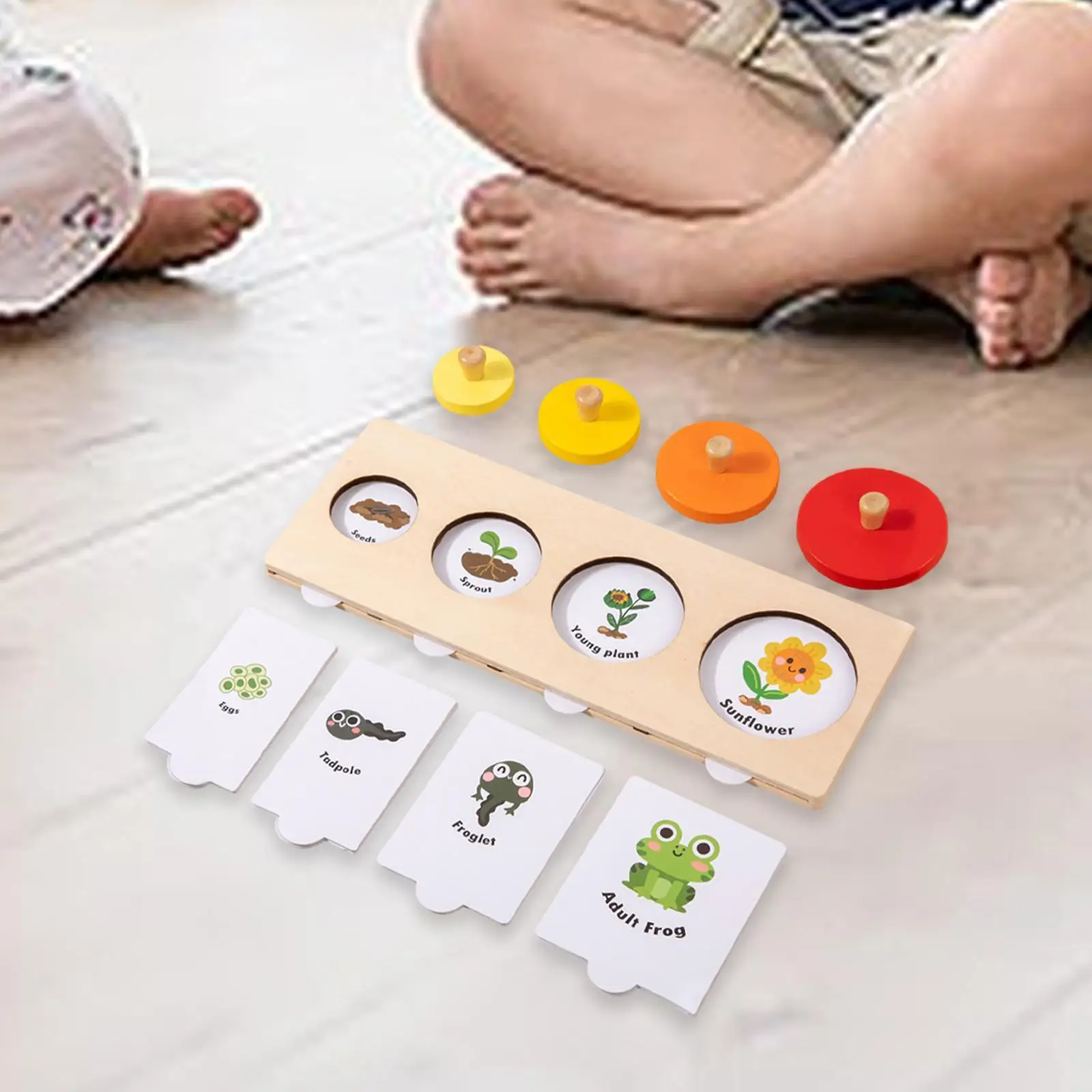 

Puzzle Toy Life Cycle Jigsaw Puzzle,Teach Aids Tool,Animal Growth Cycle Puzzle,Montessori Toy Matching Game for 3+ Year Old