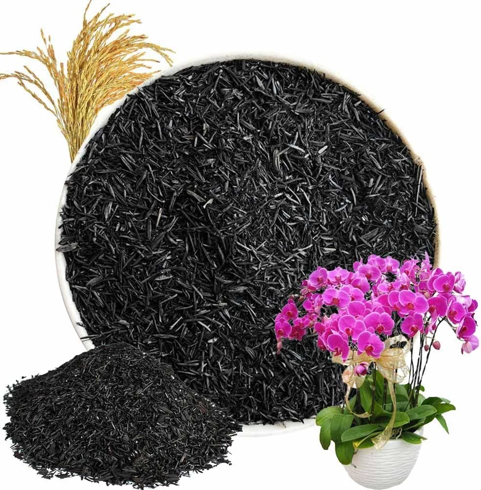 Rice Husk Charcoal Biochar 2L Natural Soil Amendment for Succulents Flowers Indoor Plants