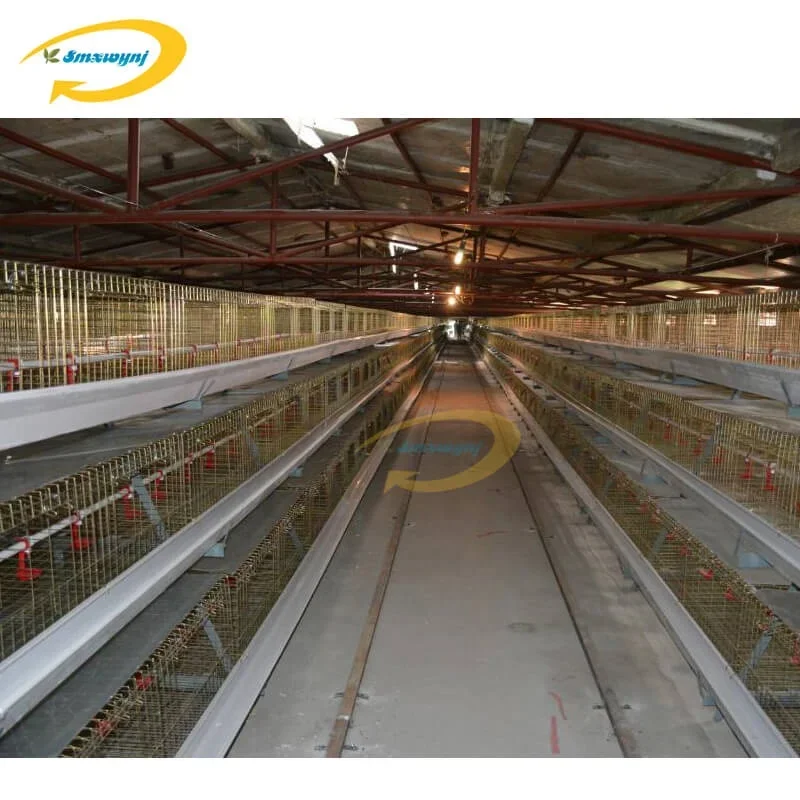 2000 chickens cage automatic laying egg les chicken cage poultry farming equipment used chicken cages for sale