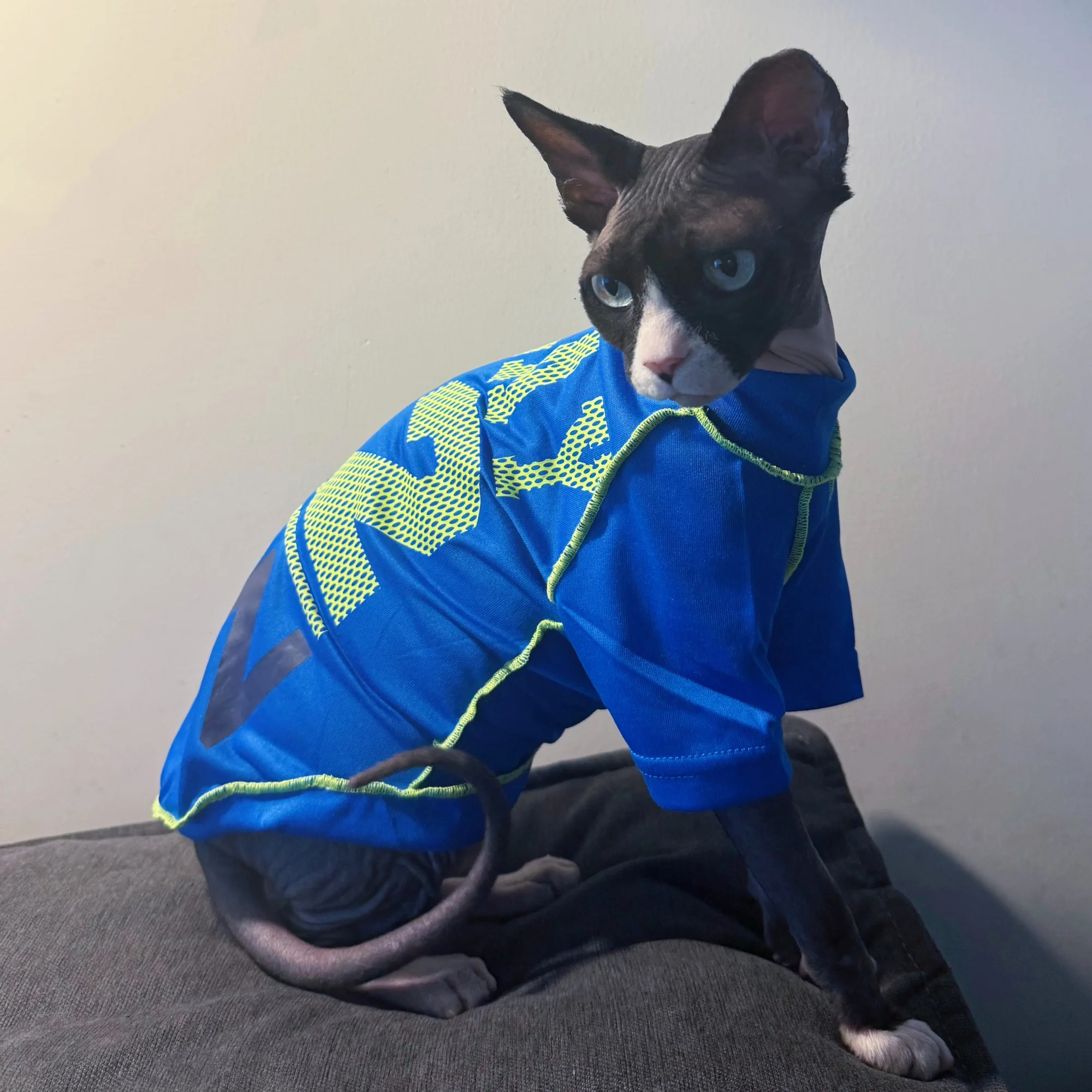 Abrigo fresco manga larga protector solar para gato Sphynx azul - imagen 4