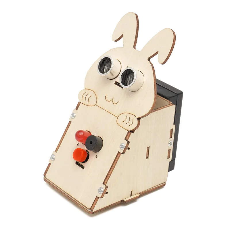 

DIY Posture Corrector Model Science Toy Experiment Educational Toy Technology Project for School Kid G288