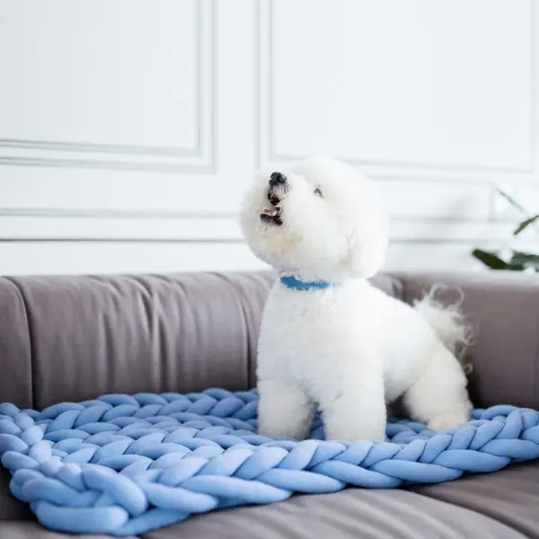 

New Heart-shaped Cat Bed, Soft Blanket, Gravity Woven Blanket Dog Bed, Sofa Table Chair Cushion,Foot Pad Dog Beds for Small Dogs